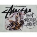 STUSSY：ステューシー　ビッグサイズ　シンプル：ロゴプリント半袖Tee　カラー：ホワイト　ネットショップオープンセール半額！　mst39
