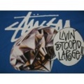STUSSY：ステューシー　ビッグサイズ　ロゴプリントTee　カラー：ブルー　ネットショップオープンセール半額！　mst23