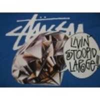 STUSSY：ステューシー　ビッグサイズ　ロゴプリントTee　カラー：ブルー　ネットショップオープンセール半額！　mst23