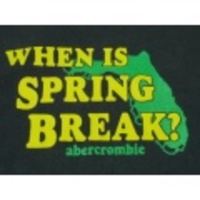 S★古着Tシャツ アバクロ スプリングブレイク 紺