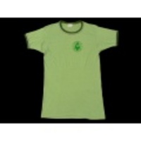 S★古着ビンテージTシャツ 70年代 ALPINE 緑