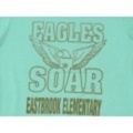 S★古着ビンテージTシャツ 80年代 EAGLES 水色
