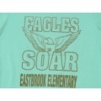 S★古着ビンテージTシャツ 80年代 EAGLES 水色