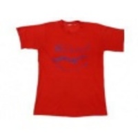 S★古着ビンテージTシャツ 80年代 カモメ 赤