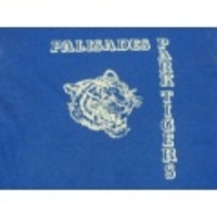 S★古着ビンテージTシャツ 80年代 タイガー 青