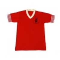 S★古着ビンテージTシャツ 80年代 ドラゴン 赤