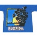S★古着ビンテージTシャツ 80年代 フロリダ 青