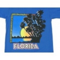 S★古着ビンテージTシャツ 80年代 フロリダ 青