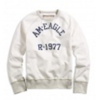 アメリカンイーグル Eagle Gym Sweatshirt (Hazy White)