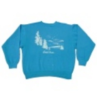 L★古着スウェット 80年代 山、鳥他 青