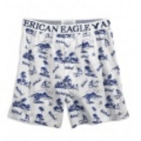 アメリカンイーグルメンズ AE ALOHA BOXER (White)