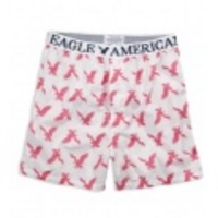 アメリカンイーグルメンズ AE EAGLE BOXER (Pink Porch)