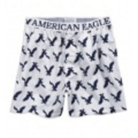 アメリカンイーグルメンズ AE EAGLE BOXER (White)