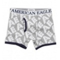 アメリカンイーグル メンズAE LOGO BOXER BRIEFS (Silver Shine)