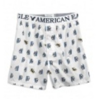 アメリカンイーグルメンズ AE SURFING PENGUINS BOXER (White)