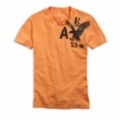 アメリカンイーグルメンズ Eagle Heritage T (Faded Orange)