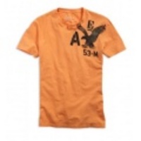 アメリカンイーグルメンズ Eagle Heritage T (Faded Orange)