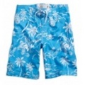 アメリカンイーグルメンズ AE Hawaiian Board Shorts (Poolhouse Blue)