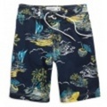 アメリカンイーグルメンズ AE Tropical Board Shorts (Blue)