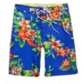 アメリカンイーグルメンズ AE Tropical Board Shorts (Blue)