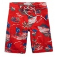 アメリカンイーグルメンズ AE Tropical Board Shorts (Red)