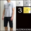 BUZZRICKSONS【バズリクソンズ】2010ミリタリープリントTシャツ「GEOGE」