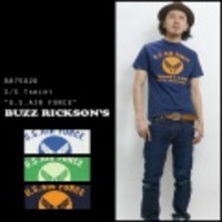 BUZZRICKSONS【バズリクソンズ】USAFプリントTシャツ”NEW MEXICO”