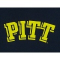 L★古着Tシャツ PITT 紺