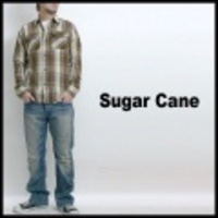 SUGAR CANE【シュガーケーン】ソフトツイルチェックワークシャツ【送料無料】