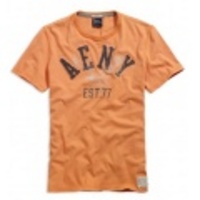 アメリカンイーグルメンズAE APPLIQUE T (Faded Orange)