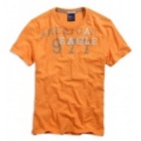 アメリカンイーグルメンズAE APPLIQUE T (Faded Orange)