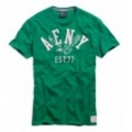 アメリカンイーグルメンズAE APPLIQUE T (Green Tropic)