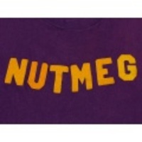 L★古着ビンテージTシャツ 80年代 NUTMEG 紫