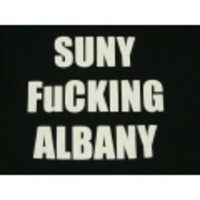 S★古着Tシャツ FUCKING ALBANY 黒