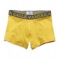 アメリカンイーグル メンズAE SIGNATURE LOW RISE TRUNK (Yellow Slicker)