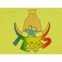 S★古着ビンテージTシャツ80年代TEXAS染込クリーム