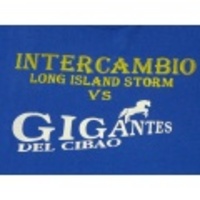 L★古着Tシャツ GIGANTES 青