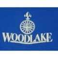 L★古着ビンテージTシャツ 80年代 WOODLAKE 青