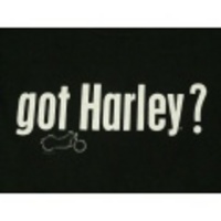 M★古着ハーレーTシャツ gotHarley? 黒