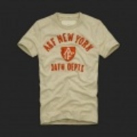 2010新作アバクロ メンズ 半袖Tシャツ Kempshall Mountain M〜Lサイズ