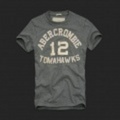 2010新作アバクロ メンズ 半袖TシャツMacNaughton Mountain Gray M〜XLサイズ