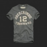 2010新作アバクロ メンズ 半袖TシャツMacNaughton Mountain Gray M〜XLサイズ