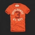 Abercrombie&Fitch 2010新作 アバクロ メンズ半袖Tシャツ Allen Mountain Orange S,M,L,XLサイズ