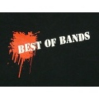 L★古着Tシャツ BESTOFBANDS 黒