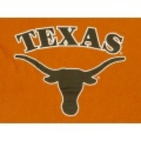 S★古着Tシャツ TEXAS 茶