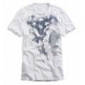 アメリカンイーグル メンズAE EAGLE FLAG T (White)