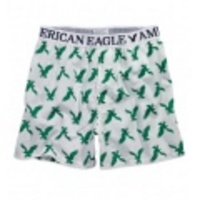 アメリカンイーグル メンズAE Eagle Boxer (Quad Green)