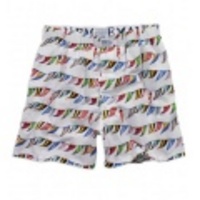 アメリカンイーグル メンズAE Pennants Boxer (White)