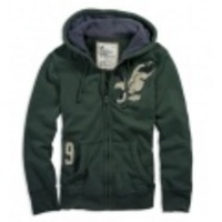 アメリカンイーグル メンズAE Embroidered Hoodie (Bold Green)