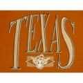 L★古着ビンテージTシャツ 80年代 TEXAS 茶